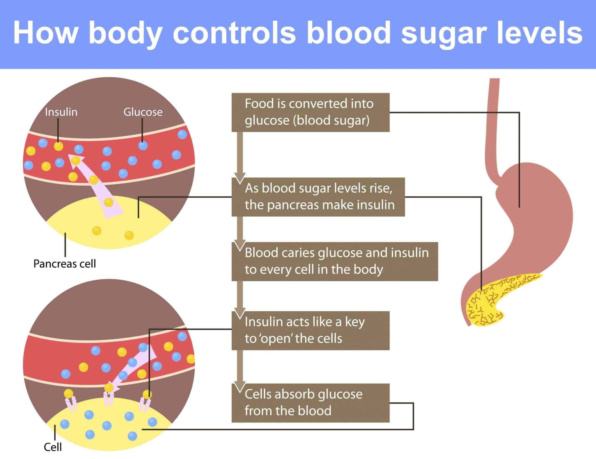 7 Unknown Reasons Why Sugar is a No
