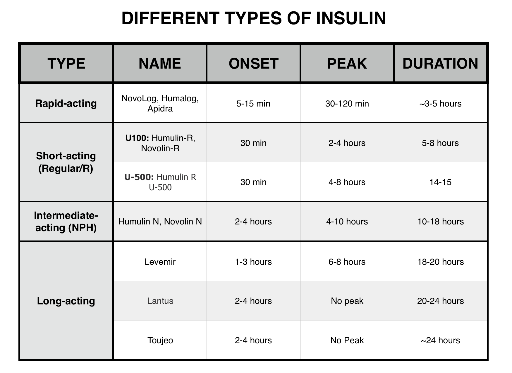 A Guide To Insulin