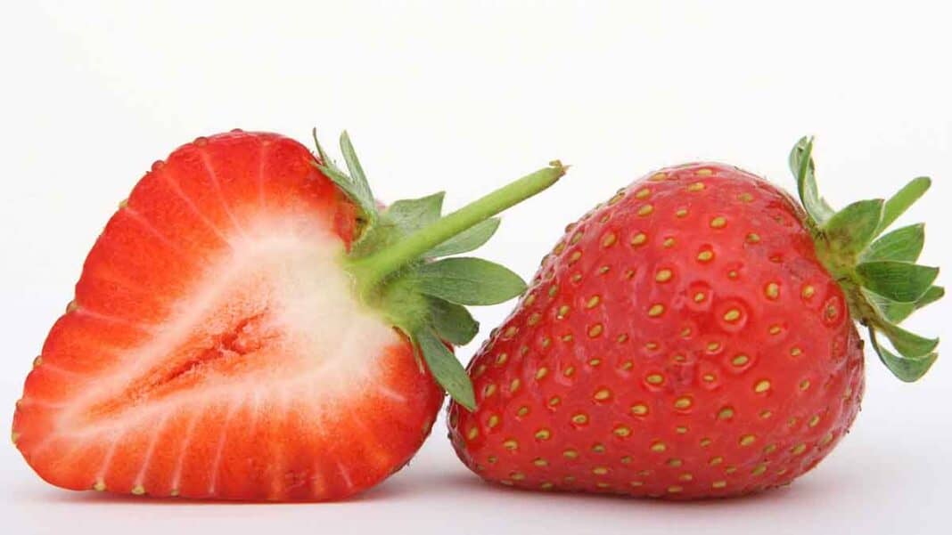 Are strawberries high in sugar? Can diabetics eat them ...