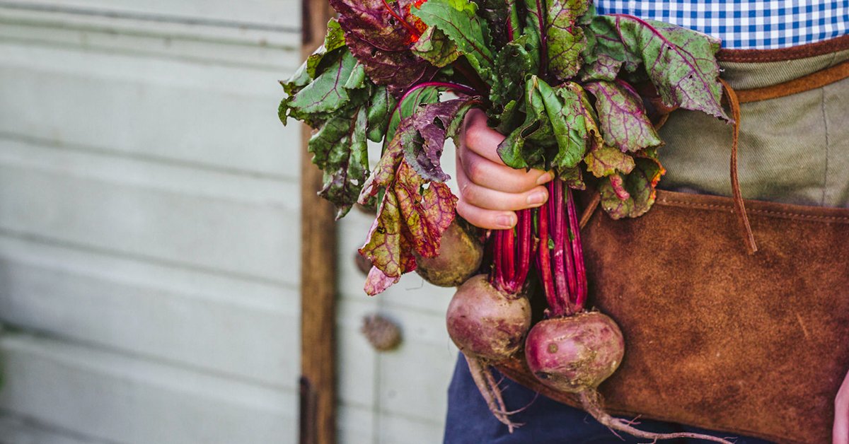 Beetroot and Diabetes: Evidence