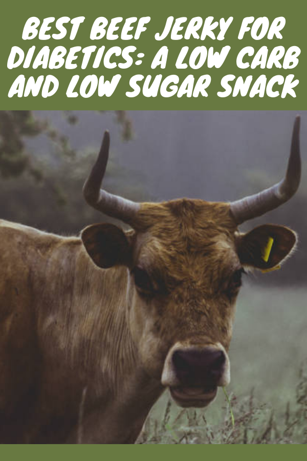 Best Beef Jerky for Diabetics: a Low Carb and Low Sugar ...