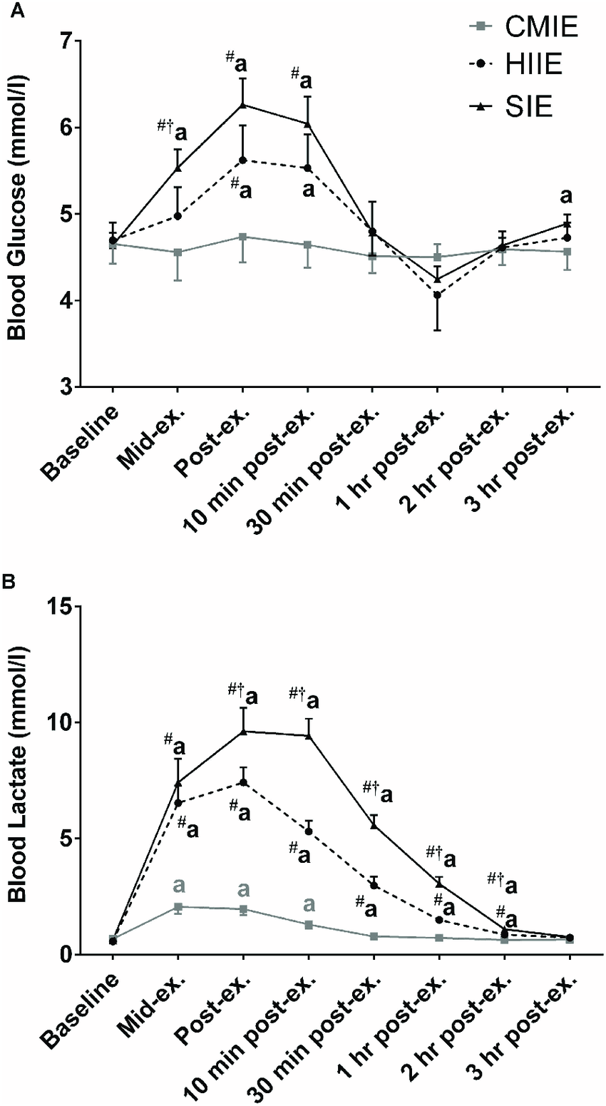 Blood lactate and blood glucose during and after exercise ...