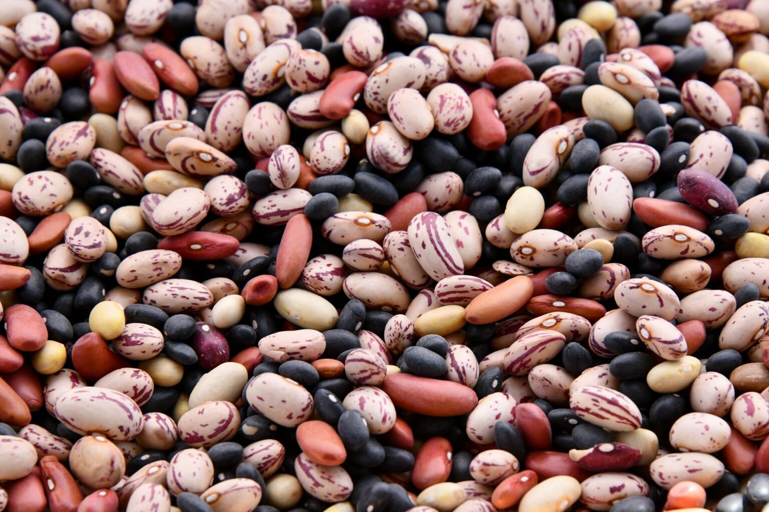 Can Diabetics Eat Pinto Beans?