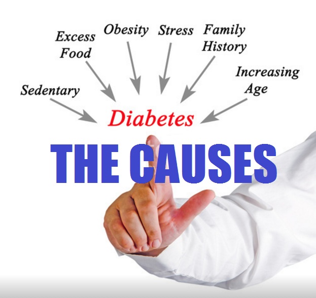 Causes of Diabetes  Diabetes Types