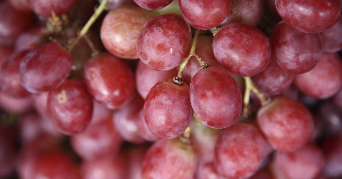 Do Grapes Have Glucose Or Fructose?