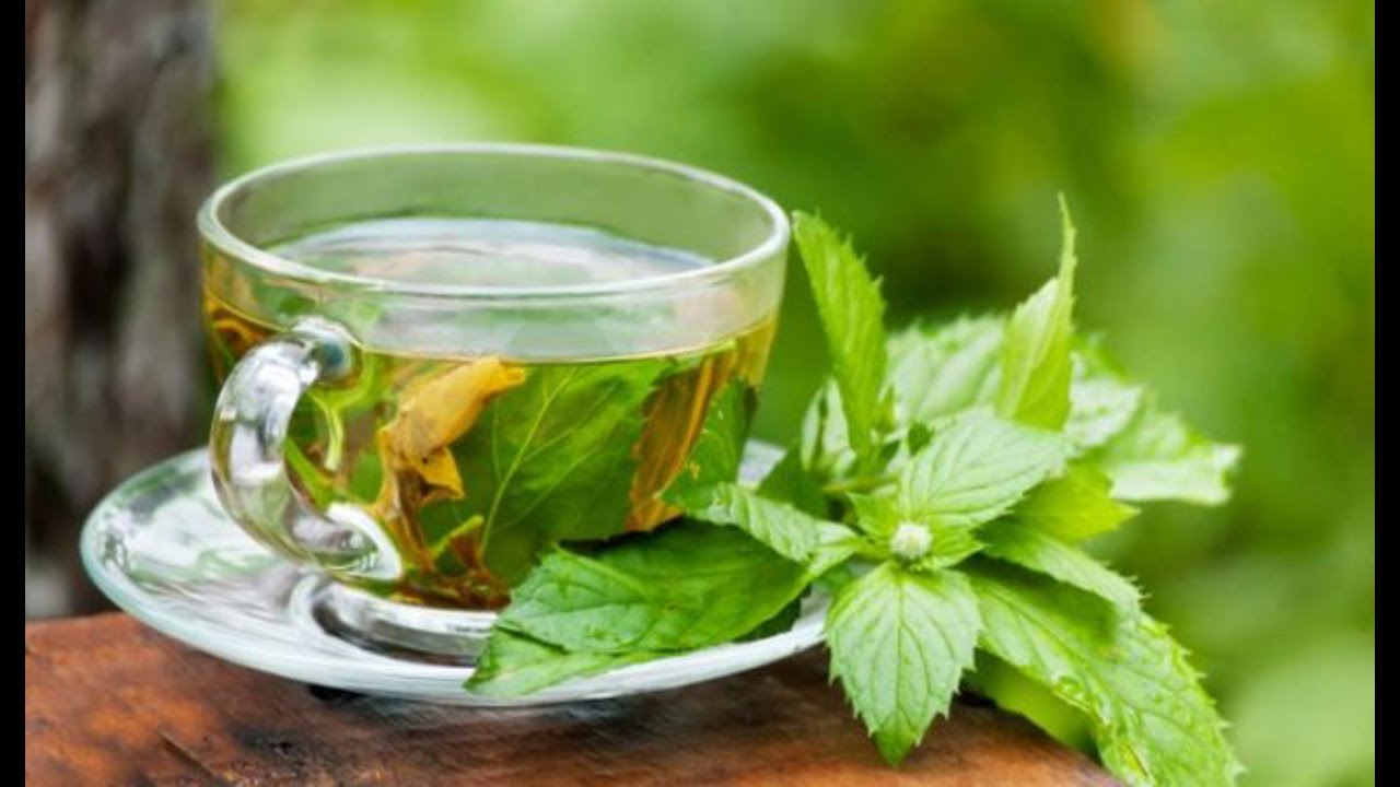 Green tea for weight loss/Fat burn tea/ Green tea health ...