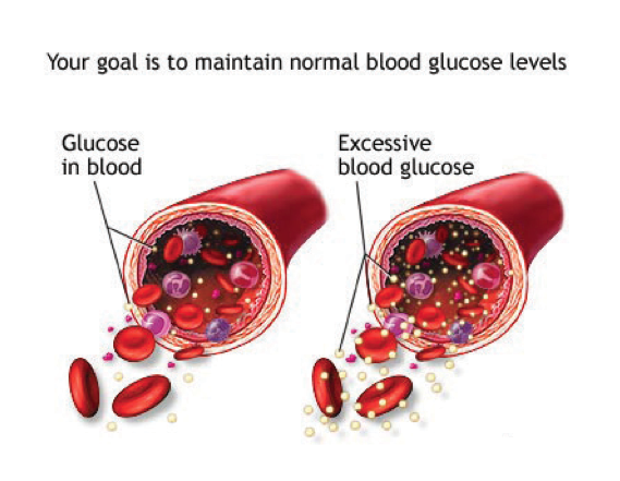 Health, Beauty &  Lifestyle Blog: Blood Sugar