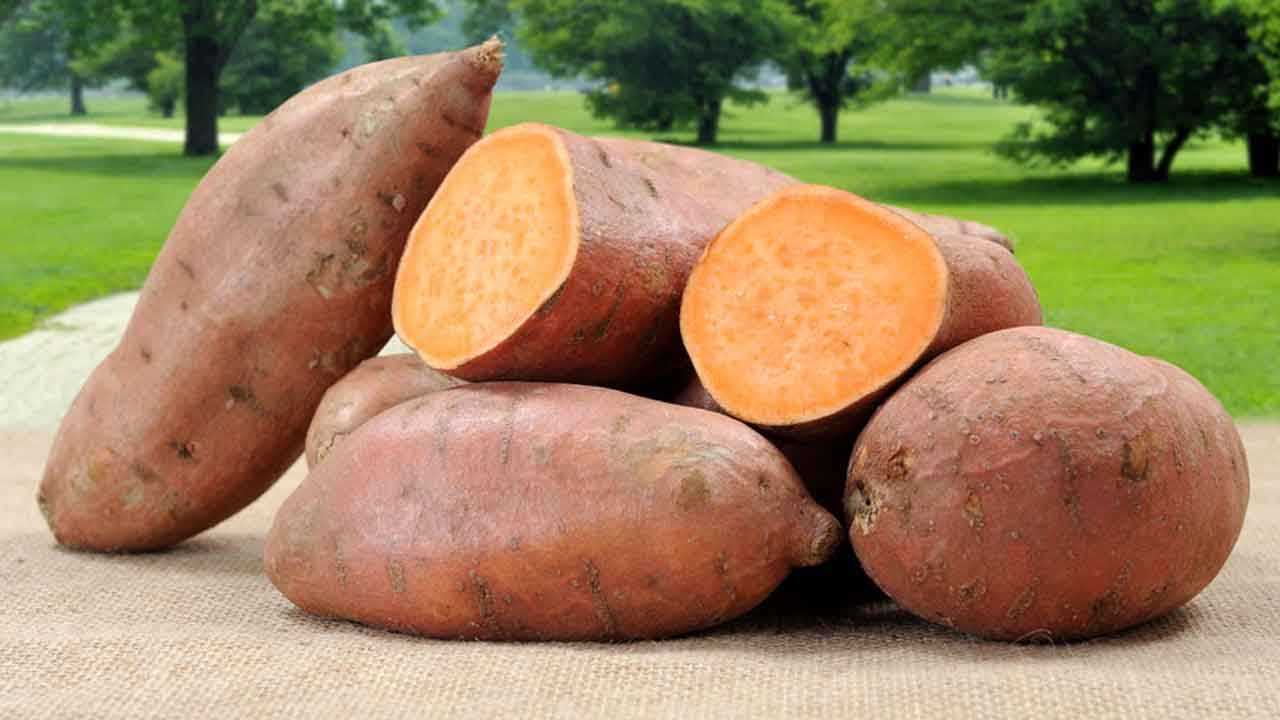 Health Benefits of Sweet Potatoes, Good Food for Diabetics