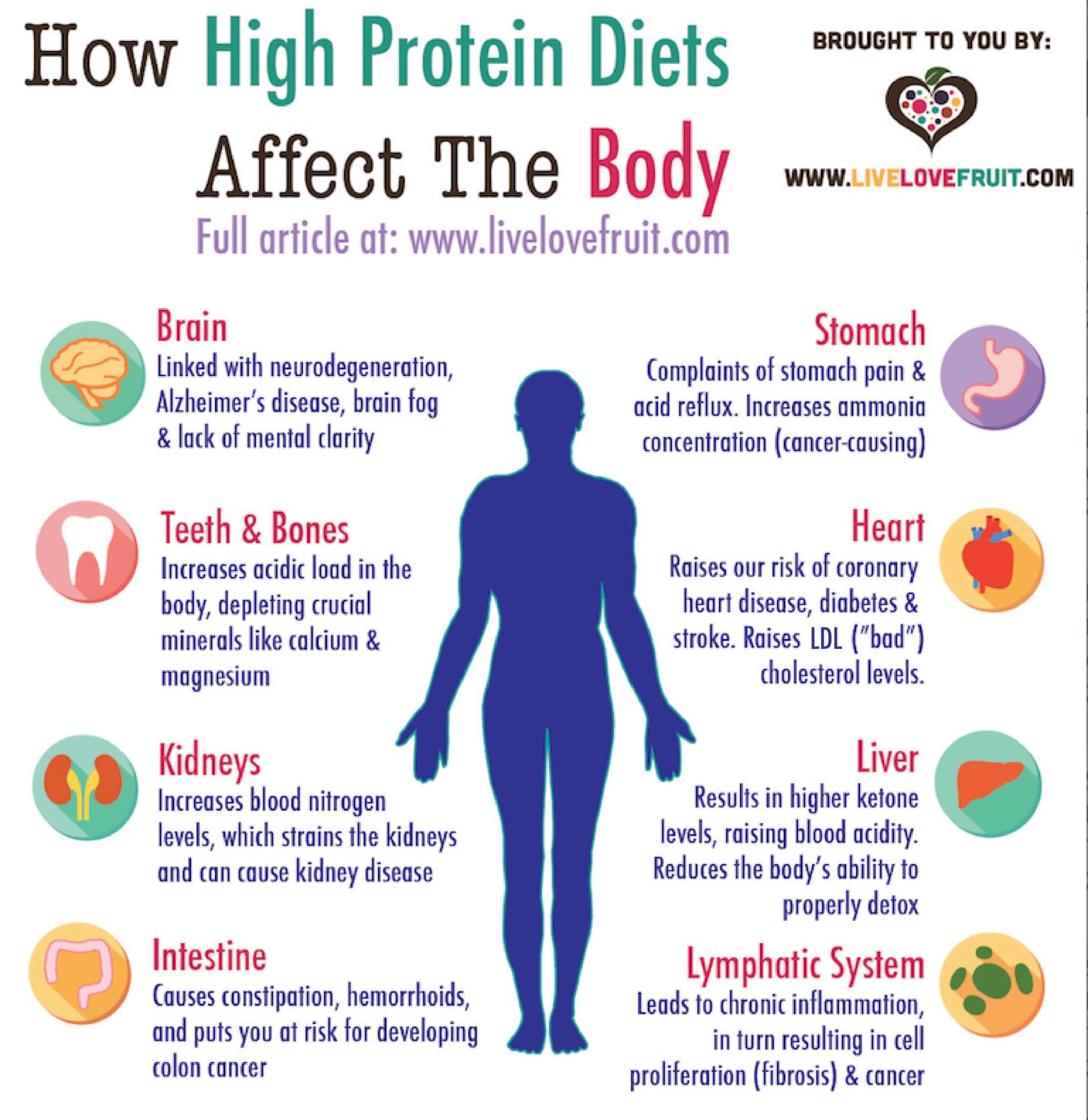 How A High Protein Diet Affects The Body