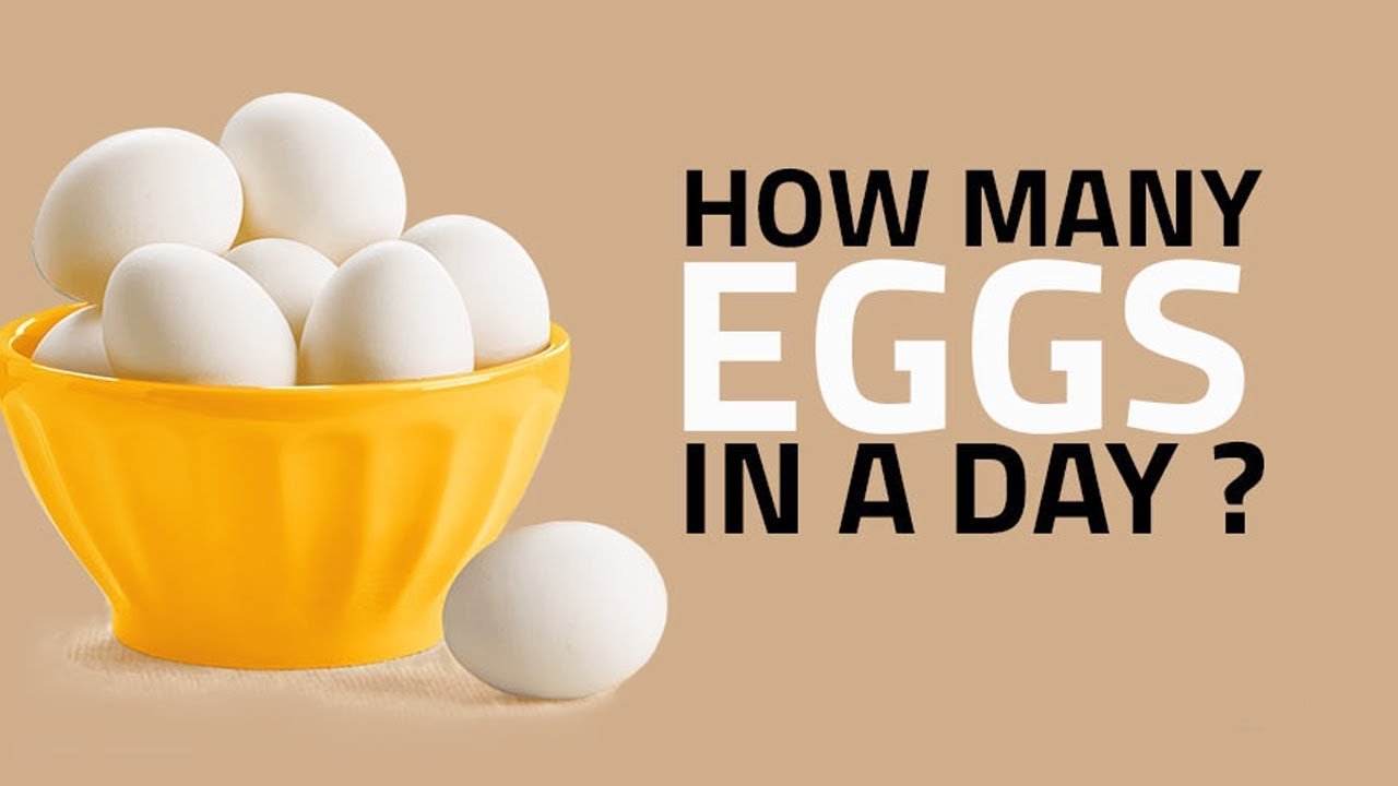 How Many Eggs a Day Should I Eat For Better Health