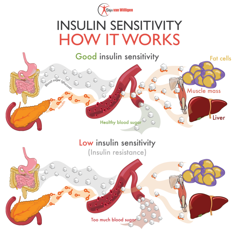 How To Increase Insulin Sensitivity