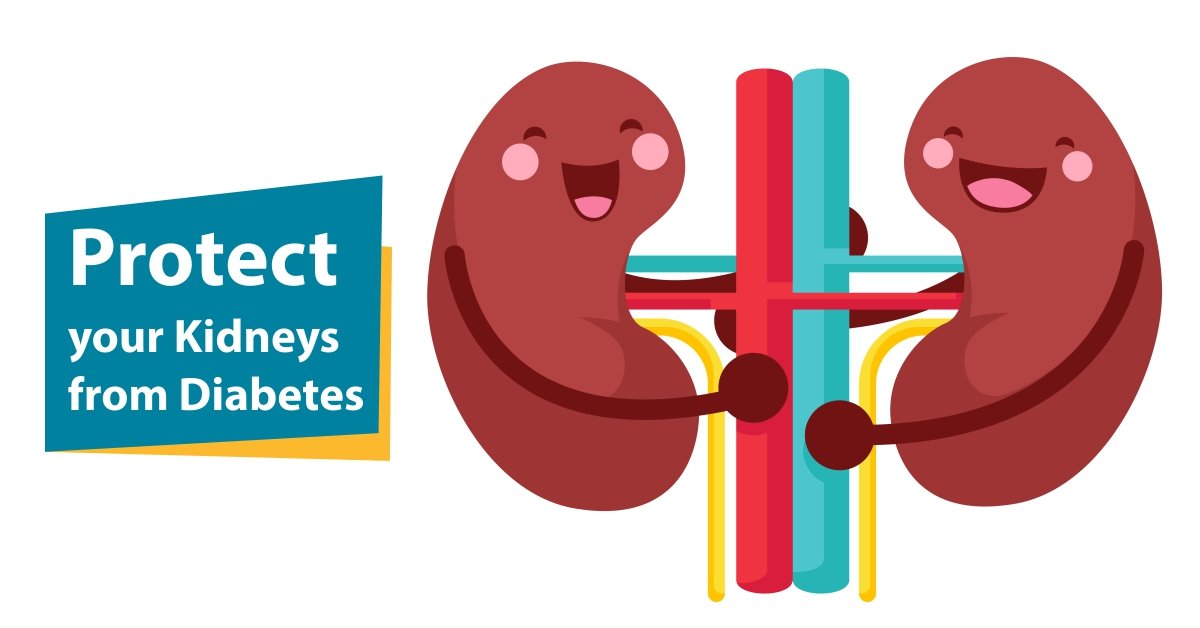 How to protect your Kidneys from Diabetes
