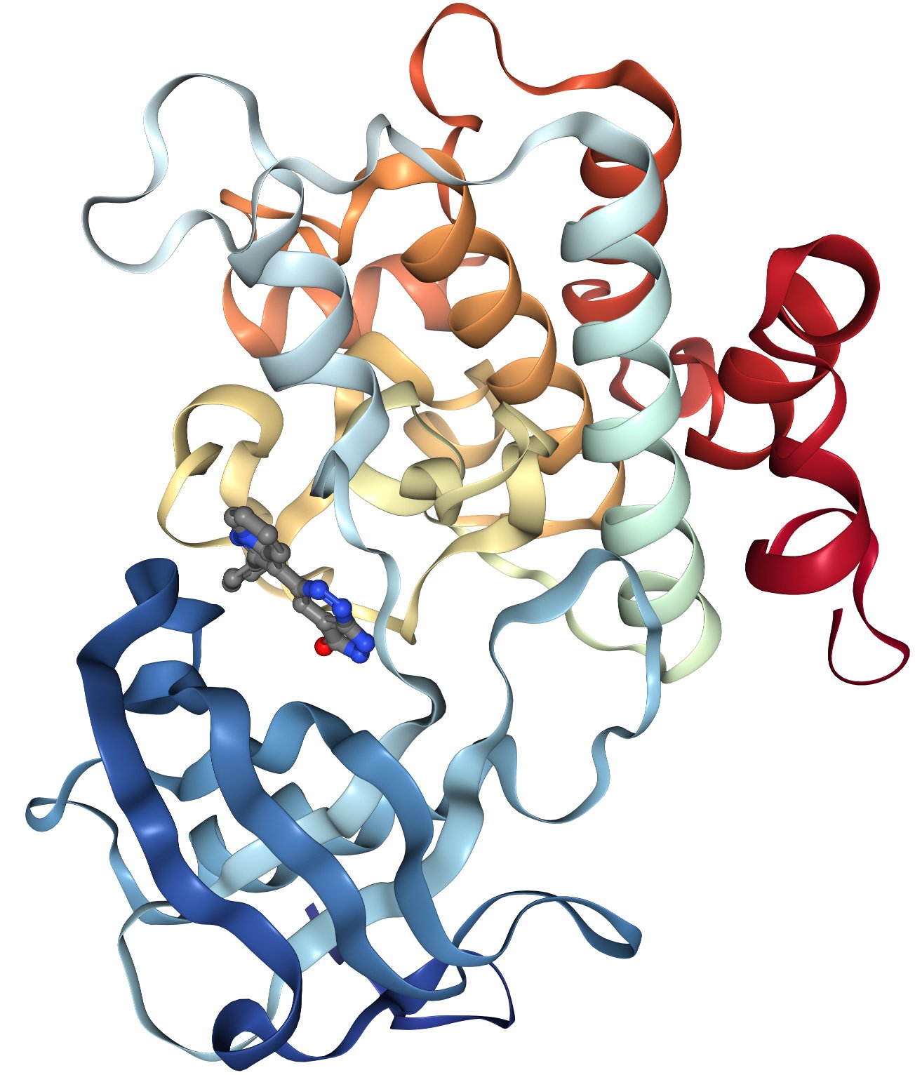 Insulin Receptor Protein Overview: Sequence, Structure ...