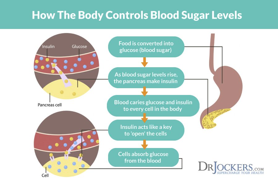 Insulin Resistance: 10 Ways To Stabilize Blood Sugar ...