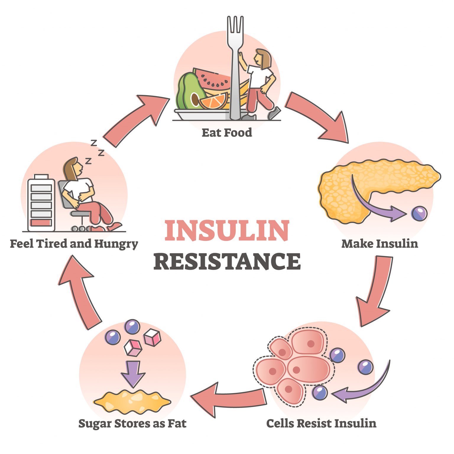 Insulin Resistance and Infertility: What you Need to Know ...