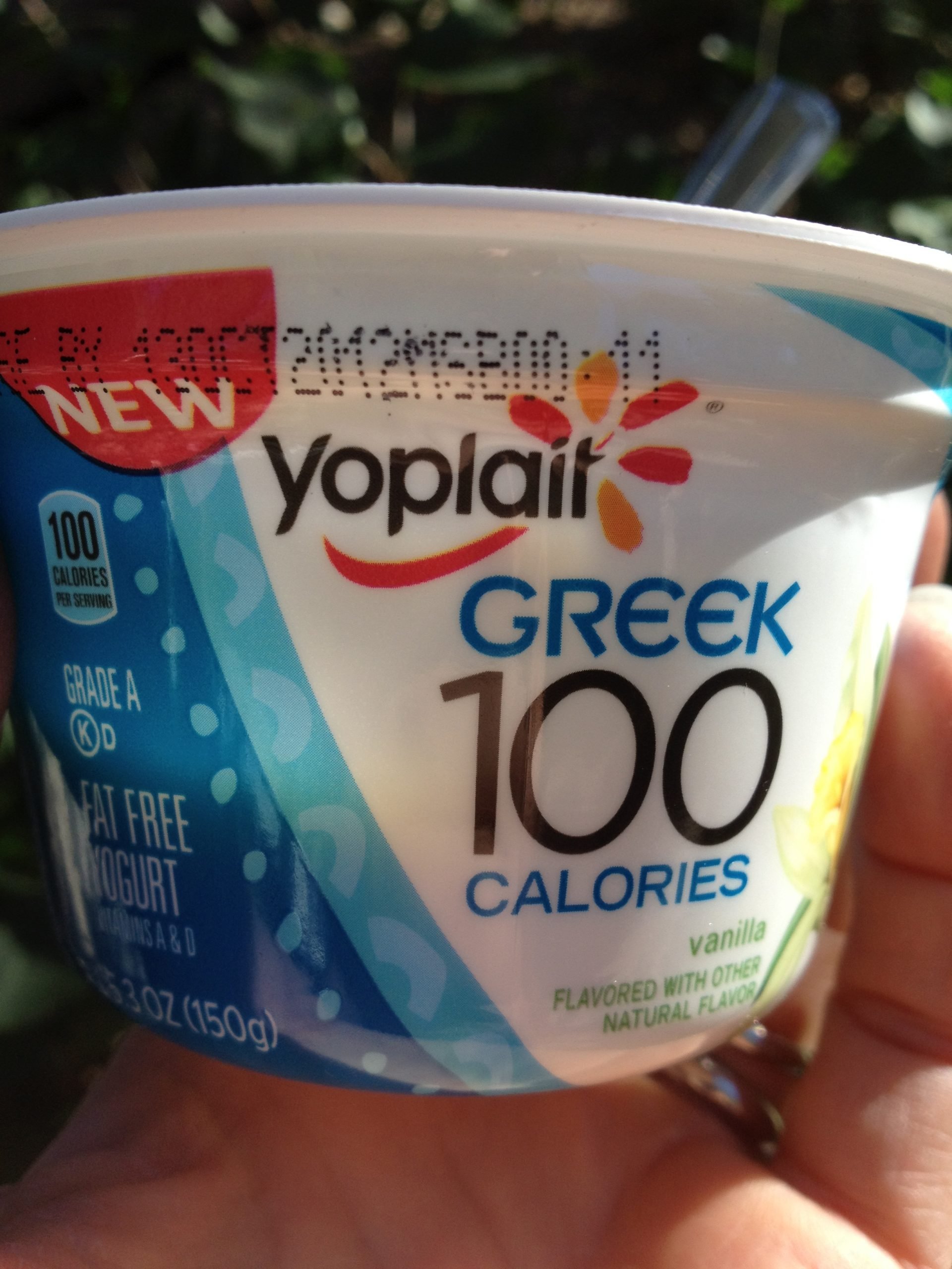 Is Chobani Yogurt Good For Diabetics
