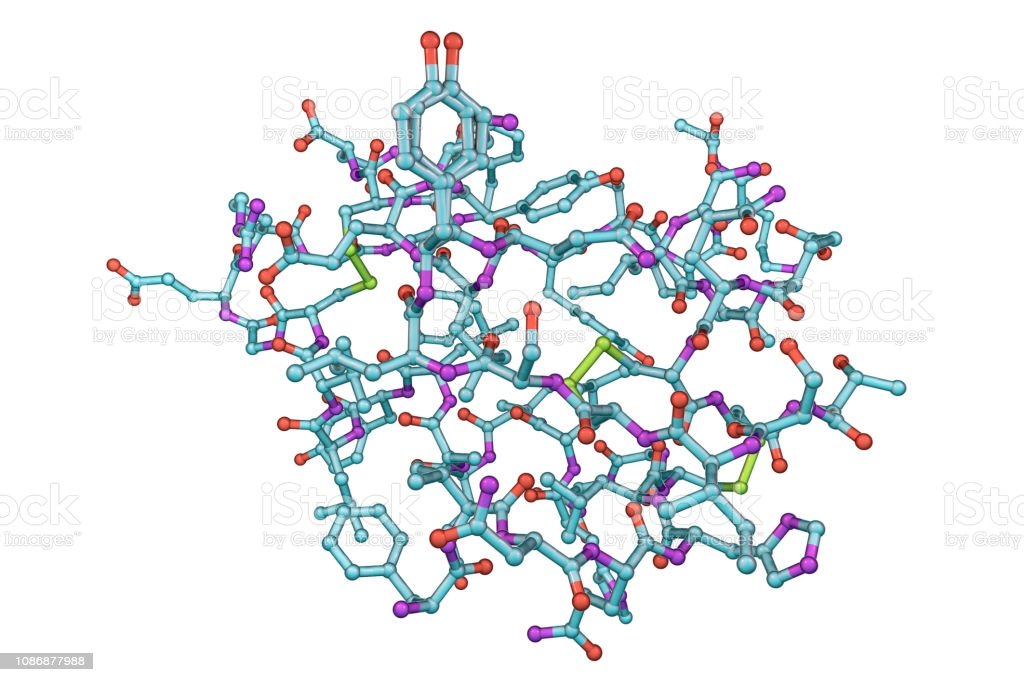 Molecular Model Of Insulin Hormone Stock Photo