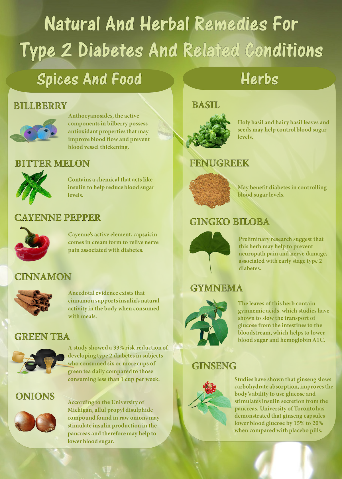 Natural Remedies for Type 2 Diabetes (Infographic)