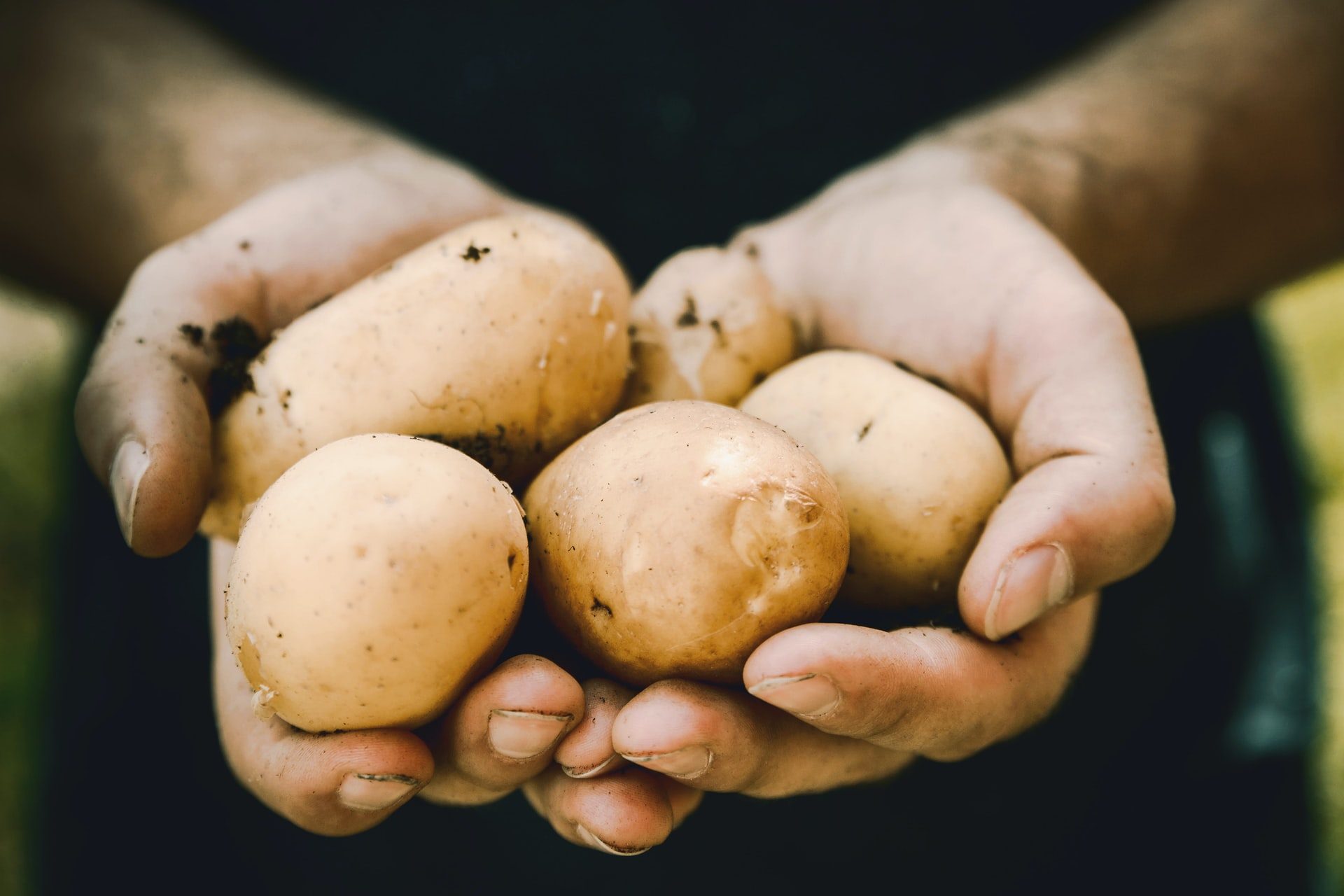 New Study Shows That People With Type 2 Diabetes Can Eat Potatoes