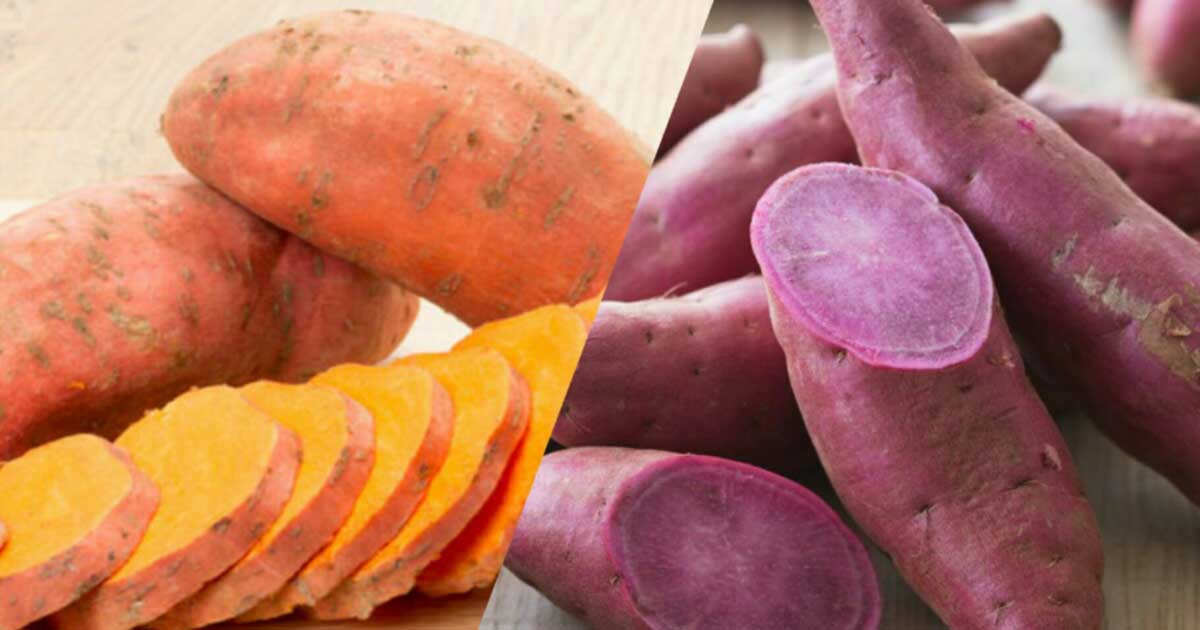 Should You Eat Sweet Potatoes If You Have DIabetes?