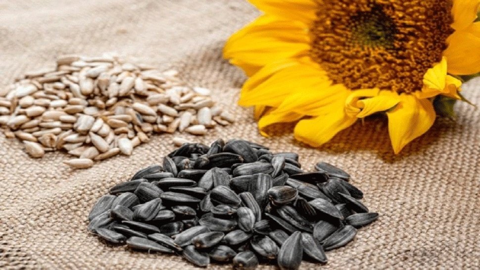 Sunflower Seeds Benefits: High BP, diabetes patients must eat a handful ...