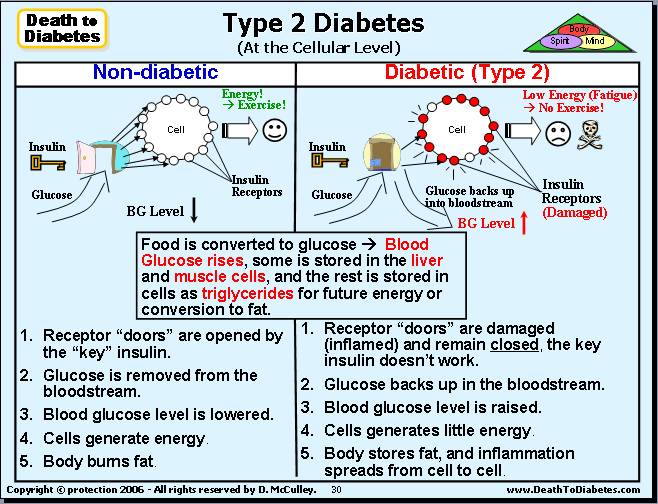 Type 2 diabetes vs type 1 which is worse, diabetes free ...