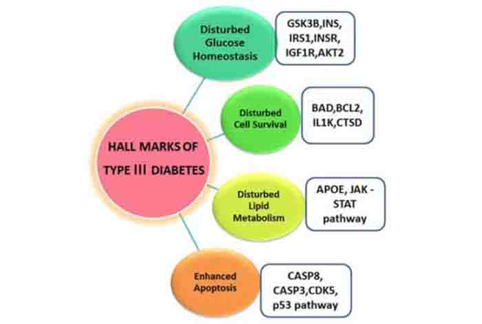 Type 3c Diabetes: A Misdiagnosed Form of Type II Diabetes
