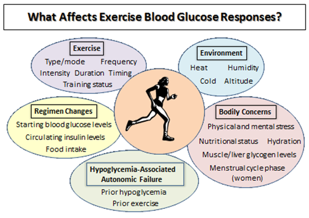 What Causes Blood Glucose to Go Down or Up During Exercise