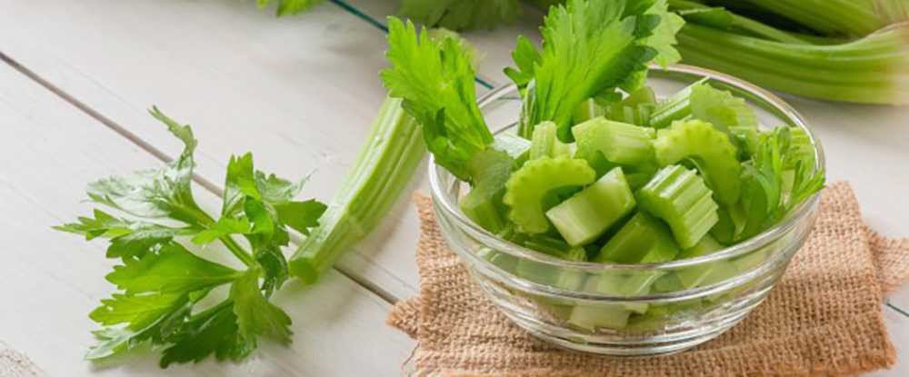 What Happens If you Drink Celery Juice for 30 Days?