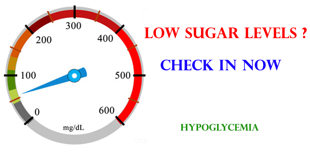 What to Eat When You Have Low Blood Sugar ?