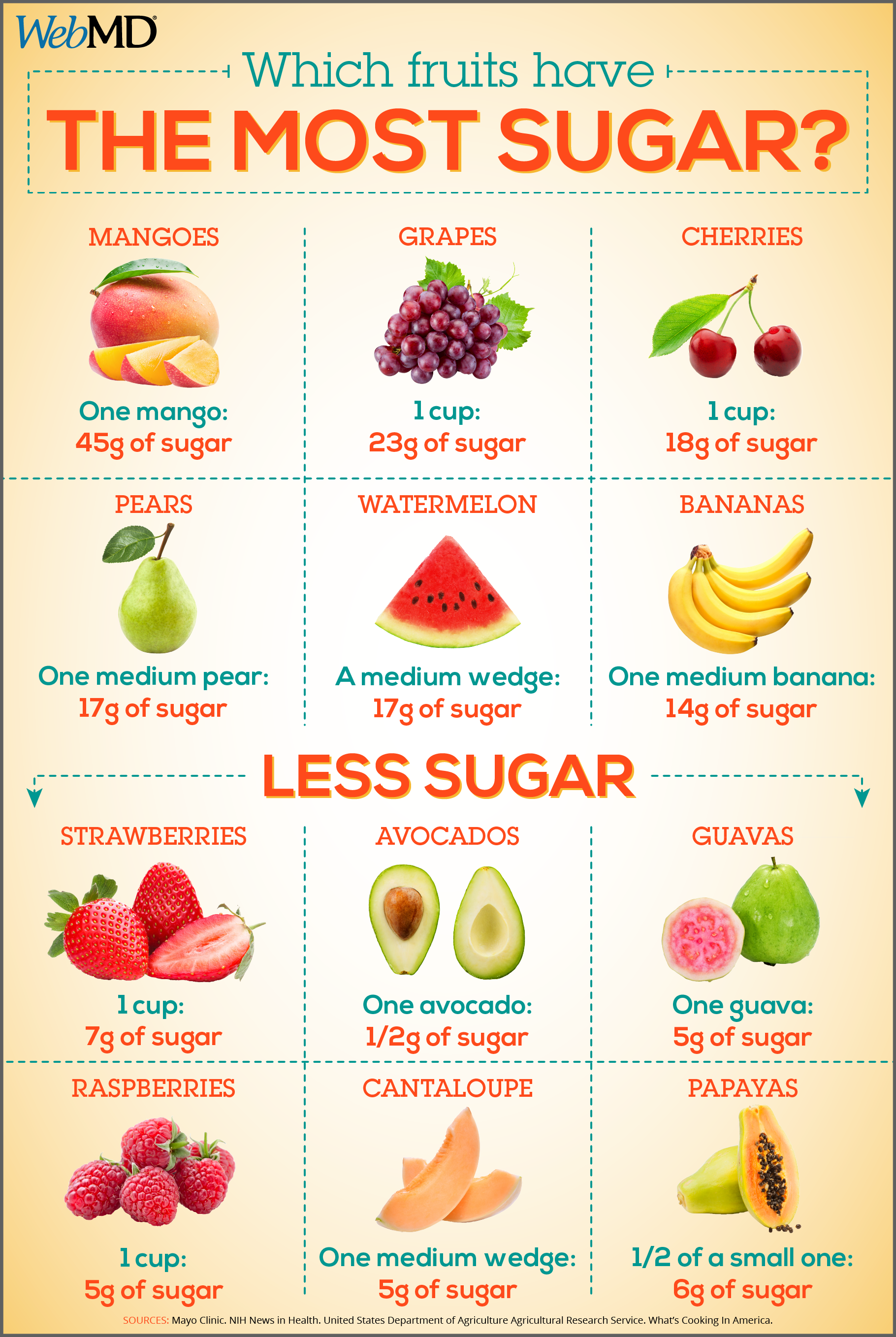 Which Fruits Have the Most Sugar?