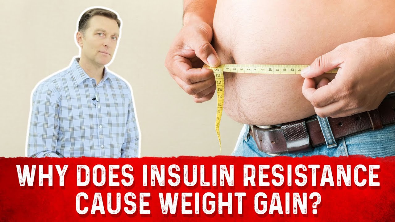 Why Does Insulin Resistance Cause Weight Gain?  Dr.Berg