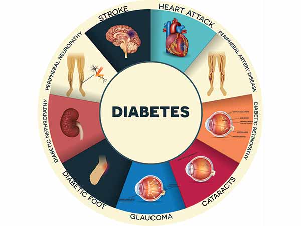 World Health Day 2016: What Organs Does Type 2 Diabetes ...